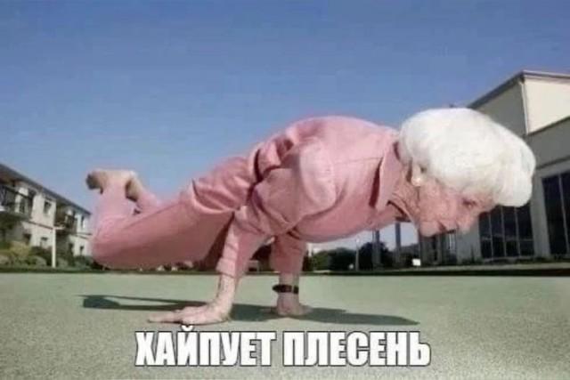 ������� �������� (15 ����)