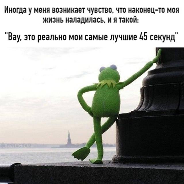 �������� ���������� ���� �3875 (30 ����)