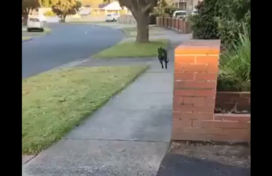 ����� ������� �� ������... (�����)