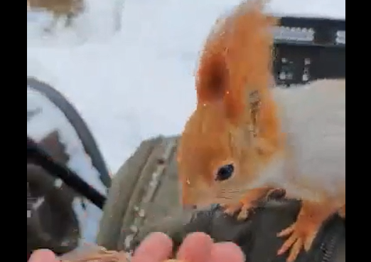 ����� ��� ����? (�����)