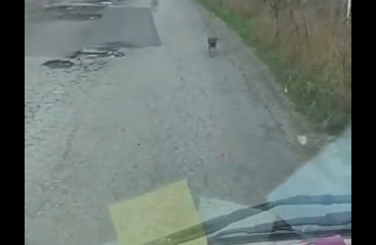 ����� ���� ����� (�����)