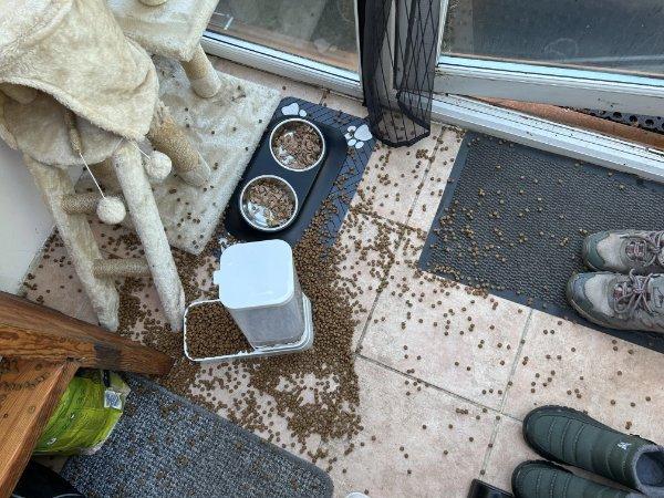 ����, � ������� ������� ��������� ���� (17 ����)