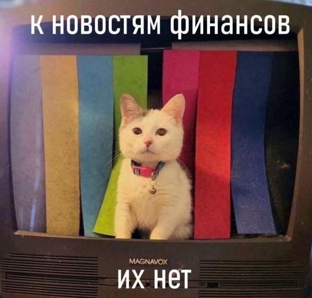 ������� ���� (15 ����)