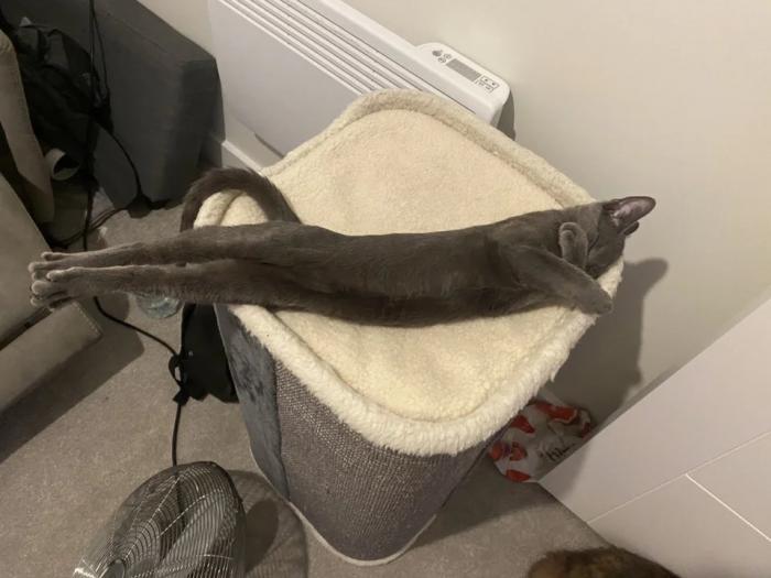 �������� ���������� �� �������� ������ (22 ����)