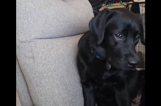 ��������� ������ ��������� ������� (�����)