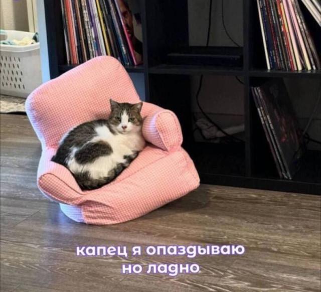 ������� �������� (15 ����)