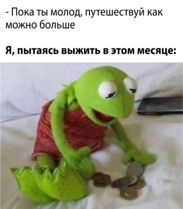 ������� ���� (15 ����)