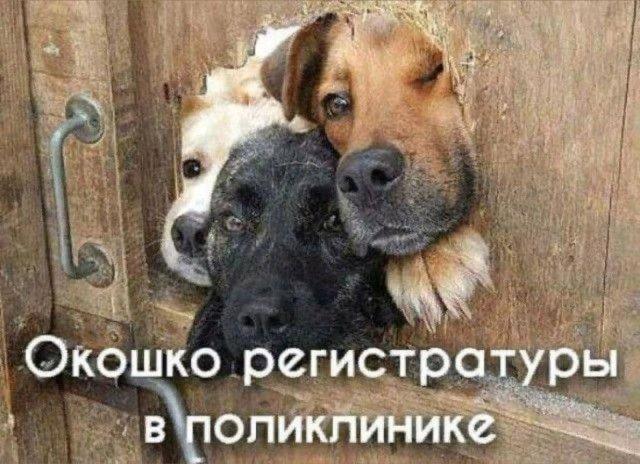 ������ ����� � ���� �� ���� (15 ����)