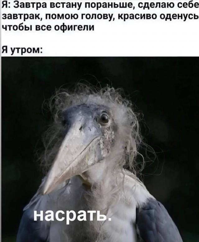 �������� ���������� ���� �3878 (30 ����)