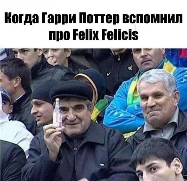 ������� ���� ��� "����� �������" (15 ����)