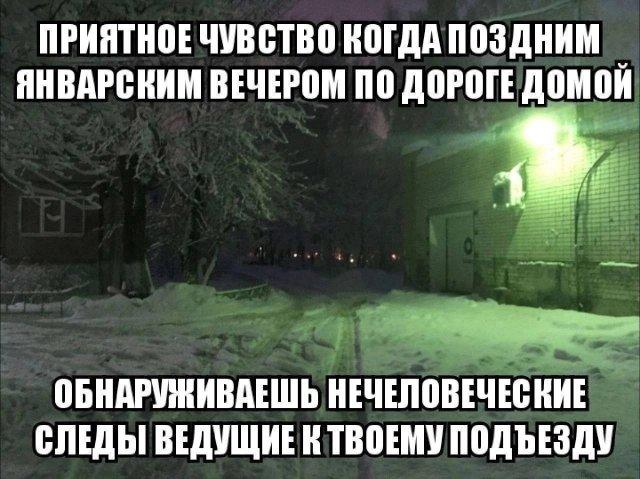 ������� ���� (15 ����)