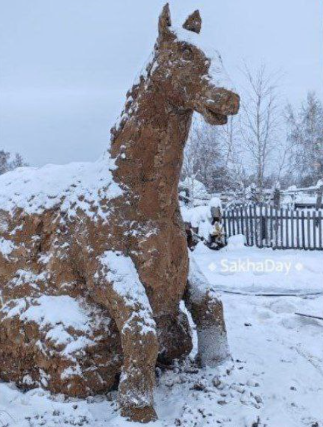 ������ ������� ���� (2 ����)