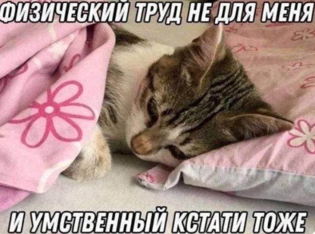 ������ ����� � ���� �� ���� (15 ����)