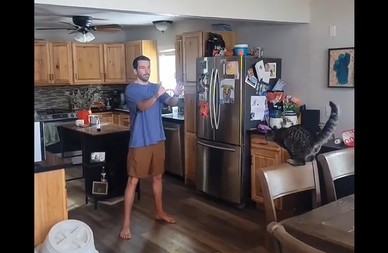 100 % ������� (�����)