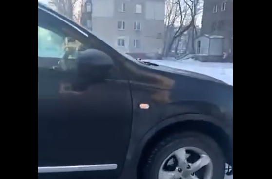 ���������� (�����)