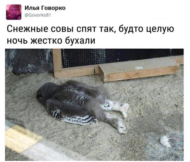 �������� �������� ������ ��� ���� (15 ����)