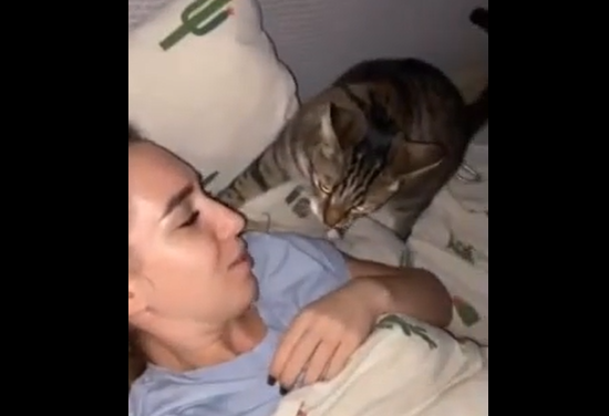 �������-������� (�����)