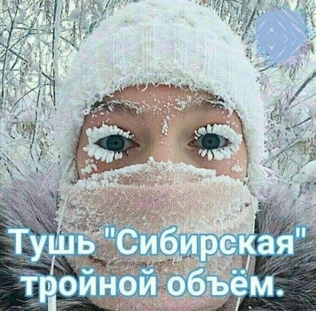 ������� ���� (15 ����)