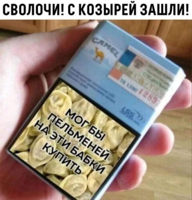 ������� �������� (15 ����)