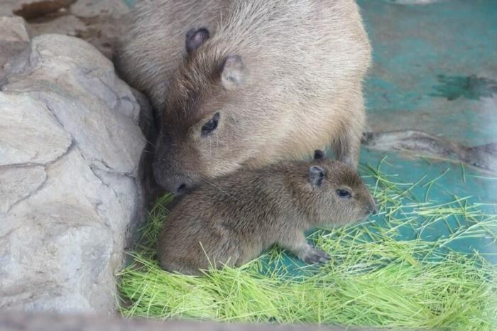 ���������� ������� ��������� ������� ������ �� ����� �������������� ����� �������� (13 ����)