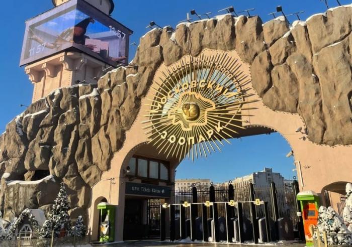 ���������� ������� ��������� ������� ������ �� ����� �������������� ����� �������� (13 ����)