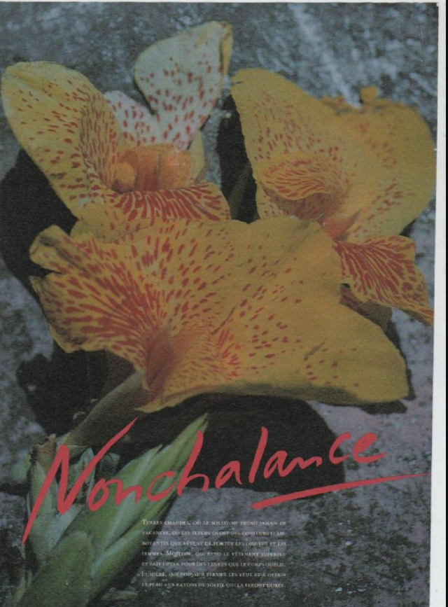 ����� ���: ������� ���� ������ ���������� (6 ����)