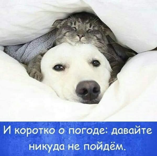 �������� ���������� ���� �3881 (30 ����)