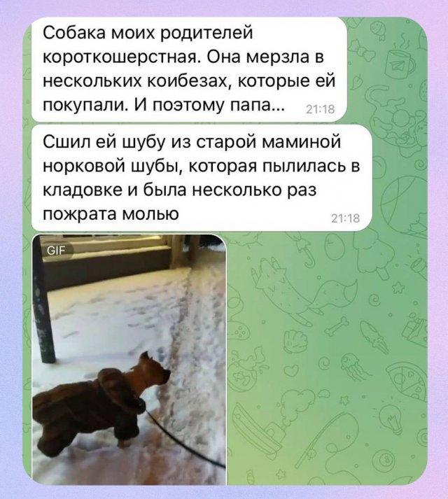 ������� ������ �������� ���� (3 ����)