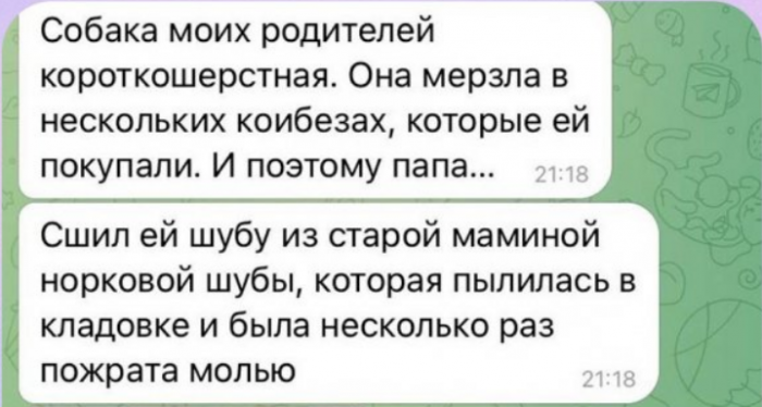 ������� ������ �������� ���� (3 ����)