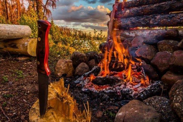 ��������: ����������� � ������������� ���������� �� ������� (20 ����)