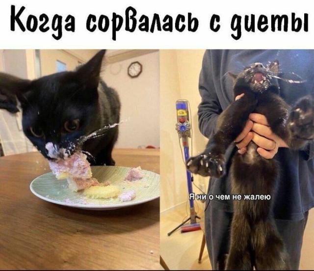 ������ ����� � ���� �� ���� (15 ����)