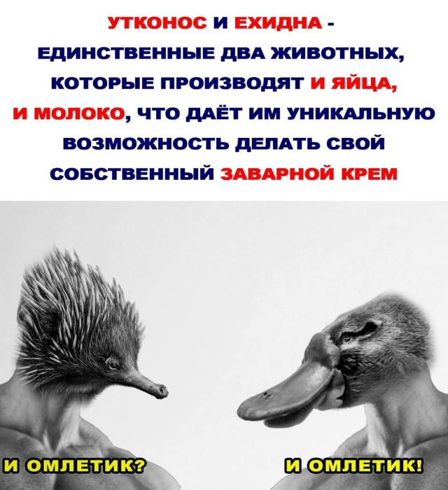 �������� ���������� ���� �3882 (30 ����)