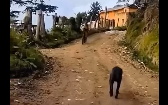 ������������ ��������� (�����)