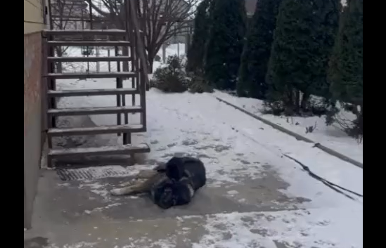 �������. ��������� (�����)