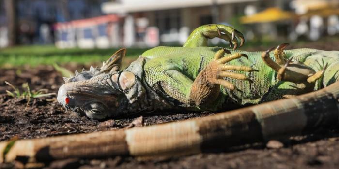 ������ ����� �� ������� ���������� �� ������ (4 ����)