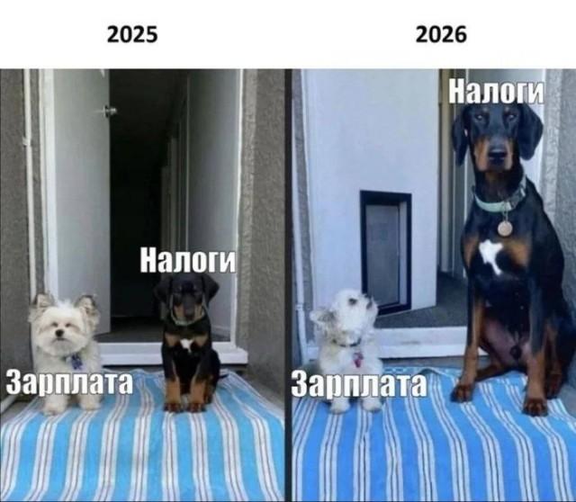 ������� �������� (15 ����)