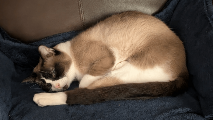 ����������� ����� � ����� ��� ��������� �������� (20 ����)