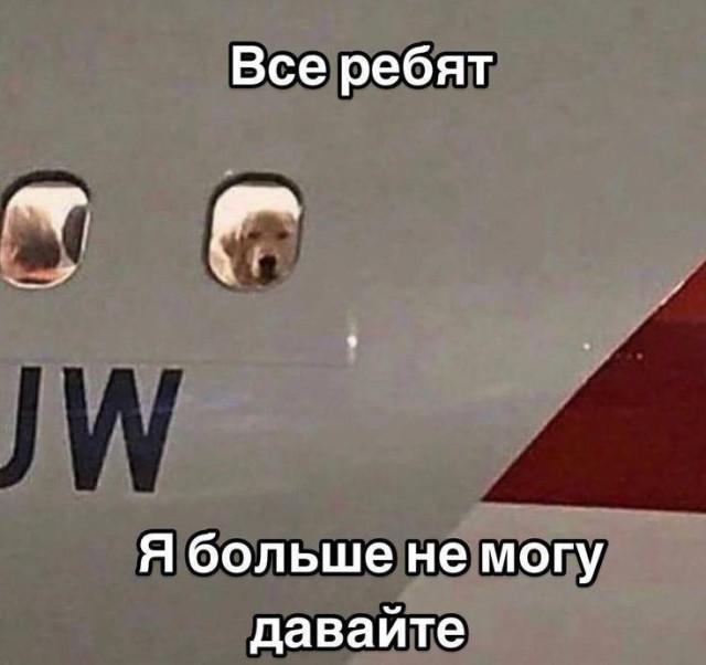 ������ ����� � ���� �� ���� (15 ����)