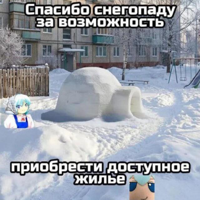 ������� ���� (15 ����)