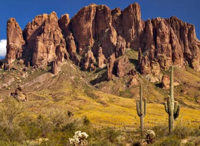 ���� ��������: ��� ��� ����� (4 ����)