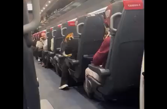 � ���� ��� ������? (�����)