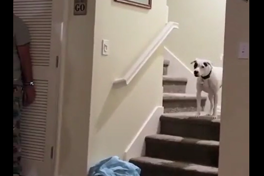 ��� ����� ����, �� �������� �������� ������ (�����)