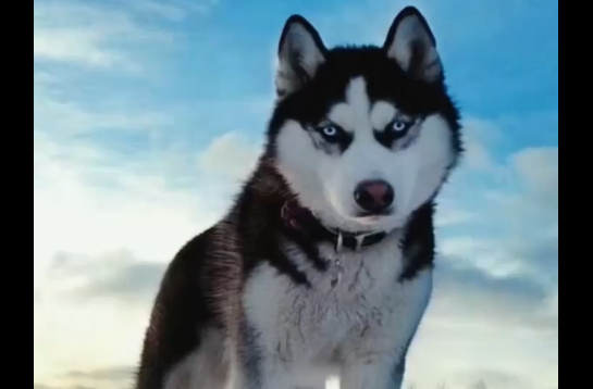 ��� ������ �������� �������� ��� ������ (�����)