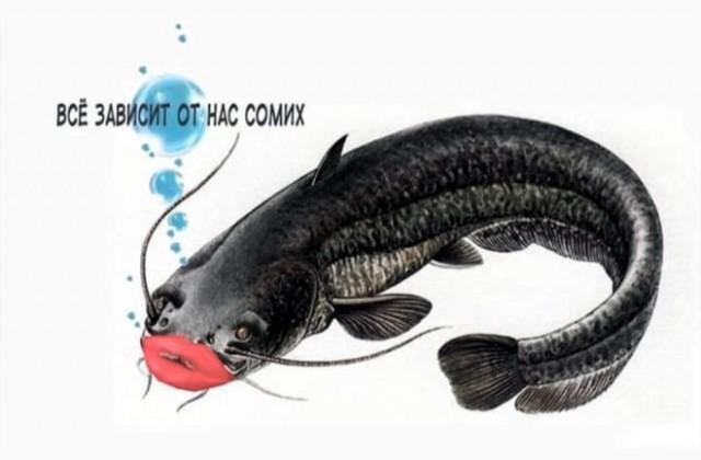 ������� �������� (15 ����)