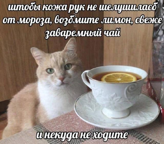 �������� ���������� ���� �3885 (30 ����)