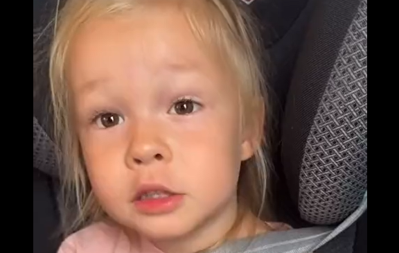 �� ��������, ������! (�����)