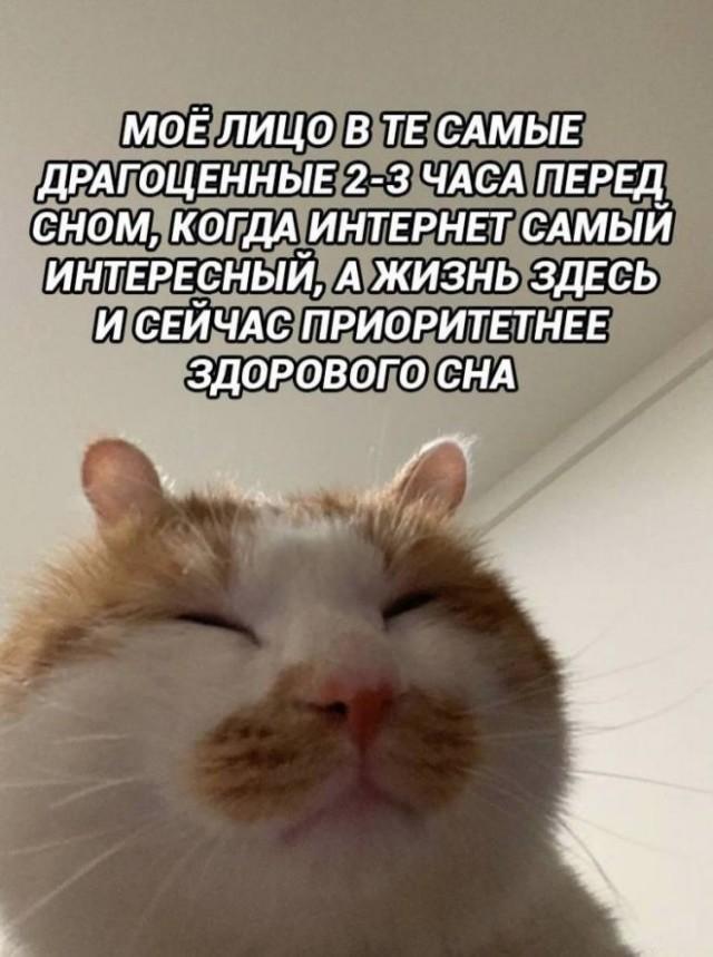 ������� ���� (15 ����)