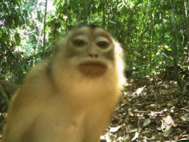 ���������� �� ����: ����������� � �� ����������� ����� (9 ����)