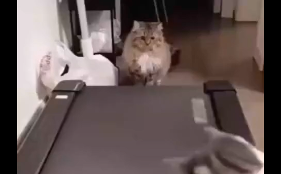 ��������� (�����)