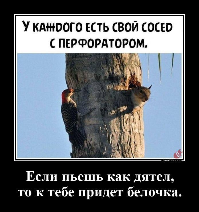 Демотиваторы №3785 (18 фото)